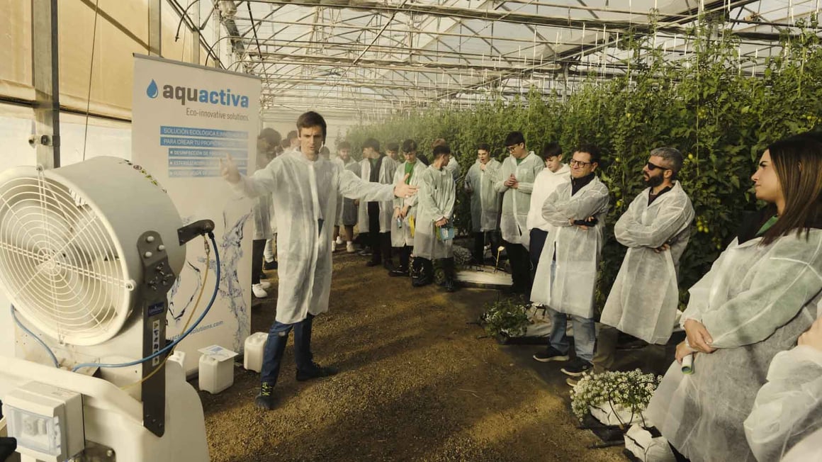 web-gazquez-innovar-proposito